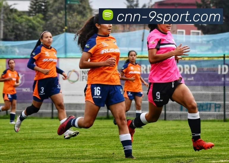 App Interface Preview